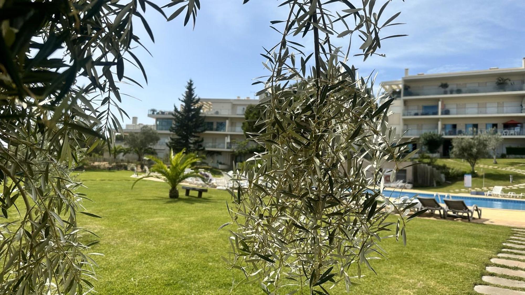 Charmant Appartement A 1Km De La Plage, Avec Piscine A Αλμπουφέιρα Εξωτερικό φωτογραφία